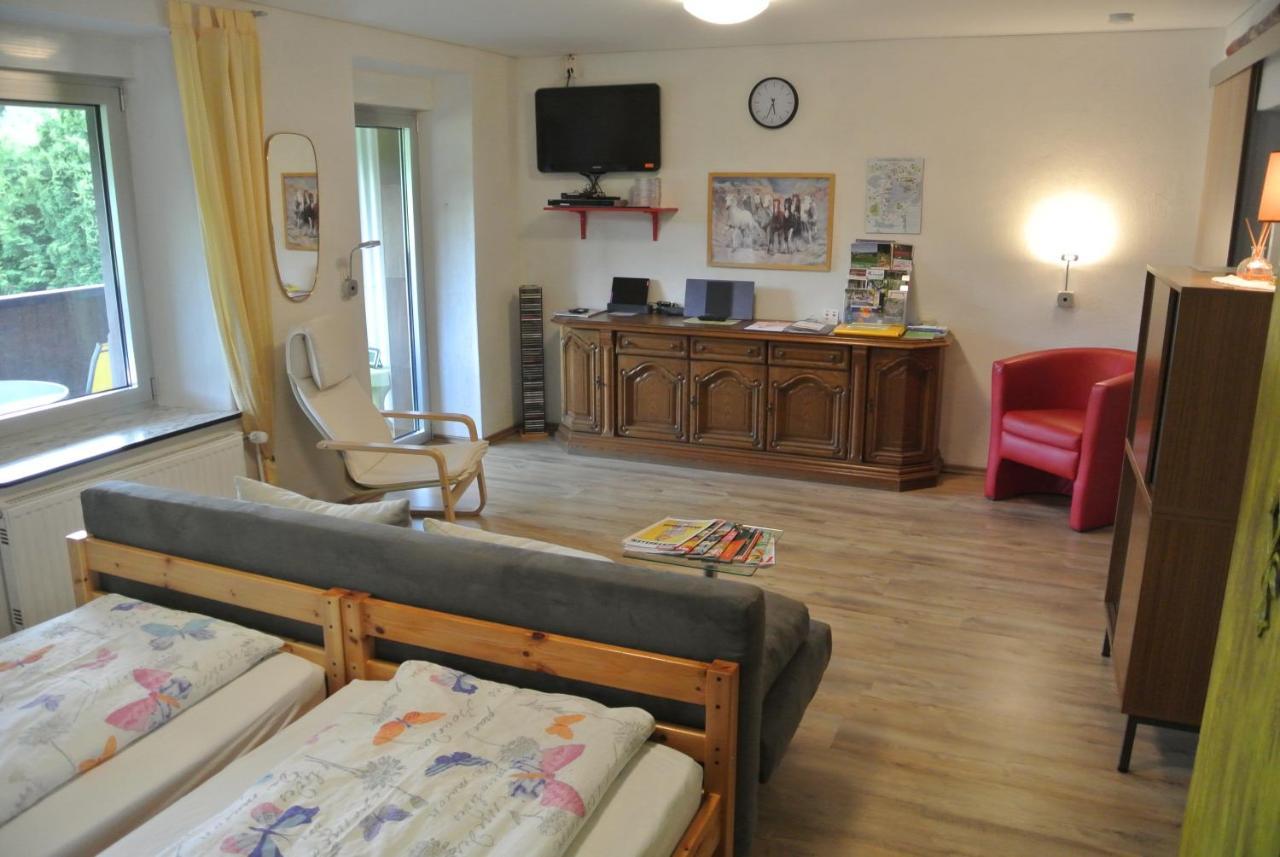 Ferienwohnung Zur Muehle Sotzweiler المظهر الخارجي الصورة
