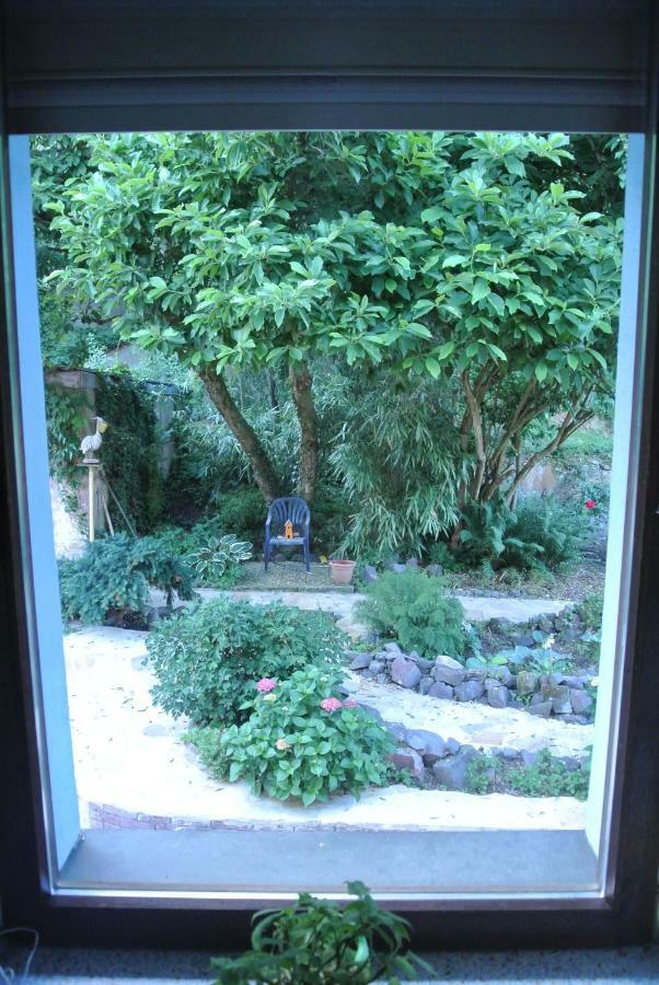 Ferienwohnung Zur Muehle Sotzweiler المظهر الخارجي الصورة