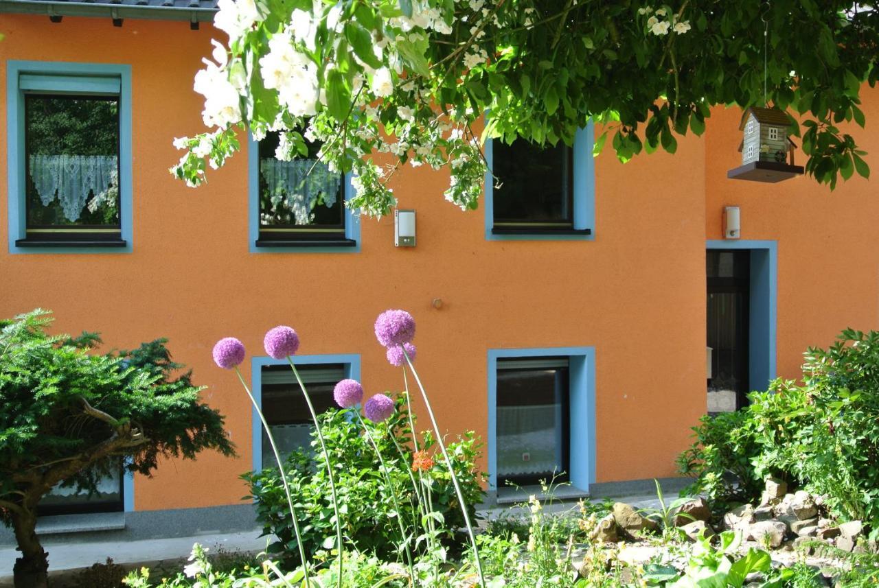 Ferienwohnung Zur Muehle Sotzweiler المظهر الخارجي الصورة